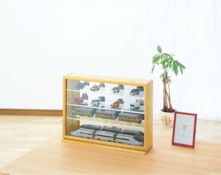 2個セット◆ナカバヤシ◆コレクションケース透明アクリル棚板　木目CCM-202 Amazon.co.jp: ナカバヤシ NEWコレクションケース/ワイド 透明